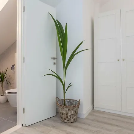 Panzió Bogo B&B Mokošica